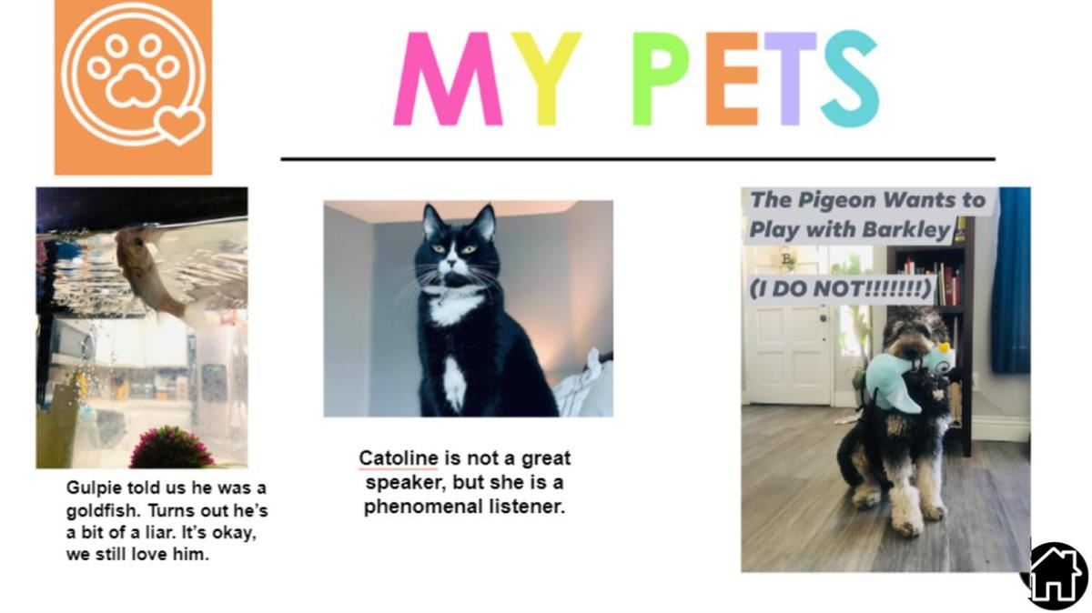 pets